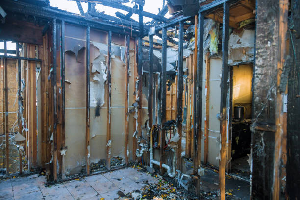 Professional Fire Damage Assessment technician working in Vandercook Lake, MI